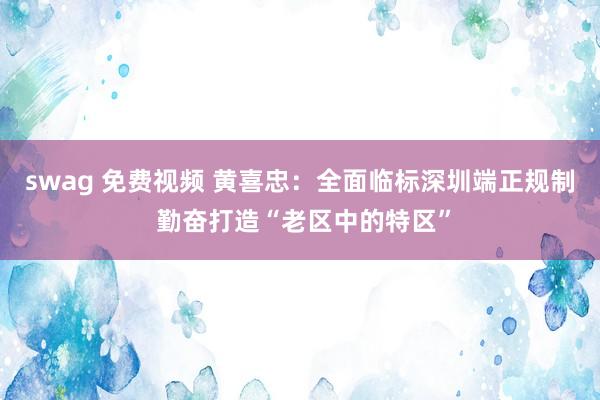 swag 免费视频 黄喜忠：全面临标深圳端正规制 勤奋打造“老区中的特区”