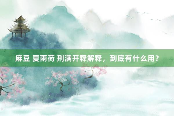 麻豆 夏雨荷 刑满开释解释，到底有什么用？