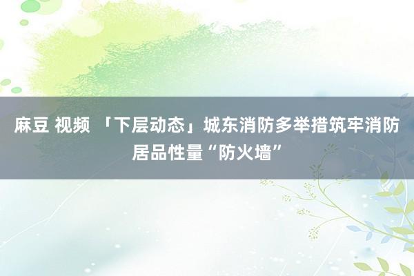 麻豆 视频 「下层动态」城东消防多举措筑牢消防居品性量“防火墙”