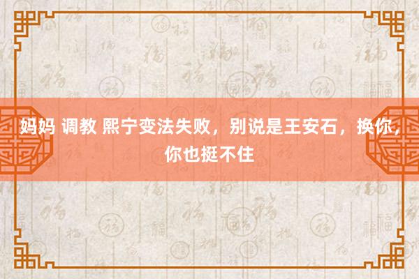 妈妈 调教 熙宁变法失败，别说是王安石，换你，你也挺不住
