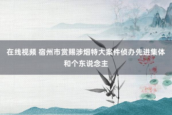 在线视频 宿州市赏赐涉烟特大案件侦办先进集体和个东说念主