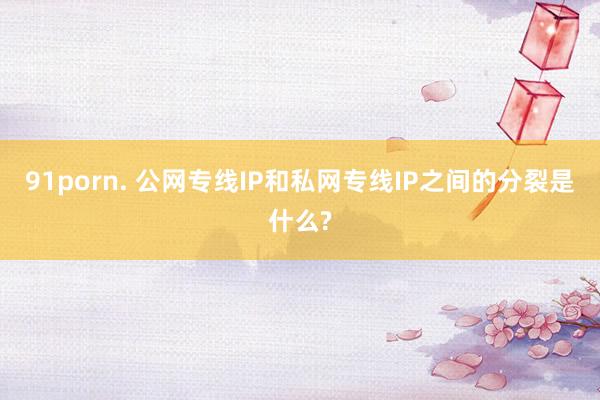 91porn. 公网专线IP和私网专线IP之间的分裂是什么?