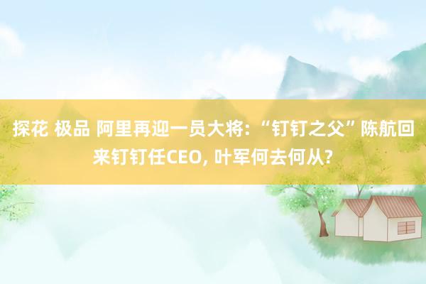 探花 极品 阿里再迎一员大将: “钉钉之父”陈航回来钉钉任CEO， 叶军何去何从?