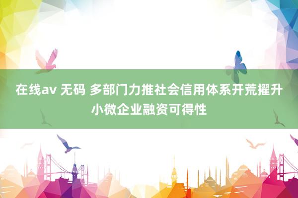 在线av 无码 多部门力推社会信用体系开荒　擢升小微企业融资可得性