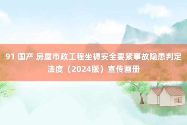 91 国产 房屋市政工程坐褥安全要紧事故隐患判定法度（2024版）宣传画册