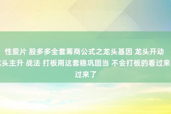 性爱片 股多多全套筹商公式之龙头基因 龙头开动 龙头主升 战法 打板用这套稳巩固当 不会打板的看过来了