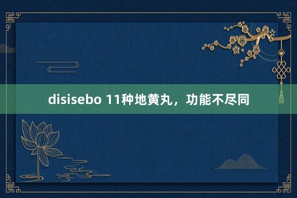 disisebo 11种地黄丸，功能不尽同