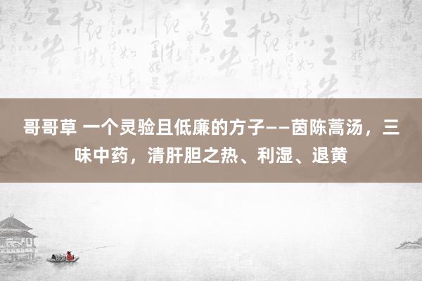 哥哥草 一个灵验且低廉的方子——茵陈蒿汤，三味中药，清肝胆之热、利湿、退黄