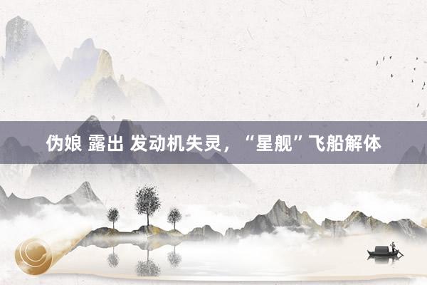 伪娘 露出 发动机失灵，“星舰”飞船解体