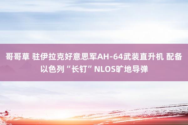 哥哥草 驻伊拉克好意思军AH-64武装直升机 配备以色列“长钉”NLOS旷地导弹