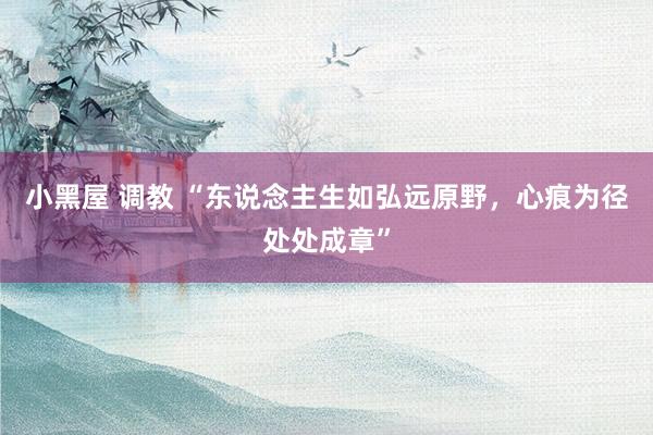 小黑屋 调教 “东说念主生如弘远原野，心痕为径处处成章”